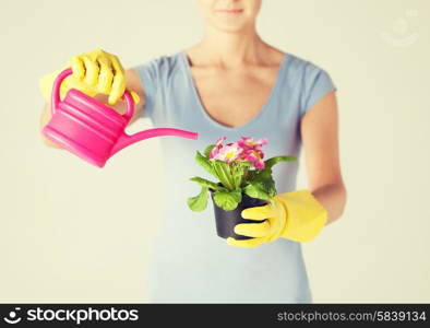 woman holding pot with flower and watering can