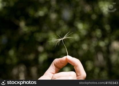 Woman holding remains of dandelion head