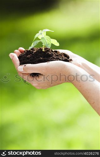 woman holding sapling in heap of earth