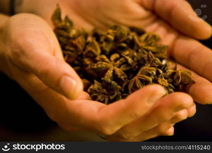 Woman holding Star Anise