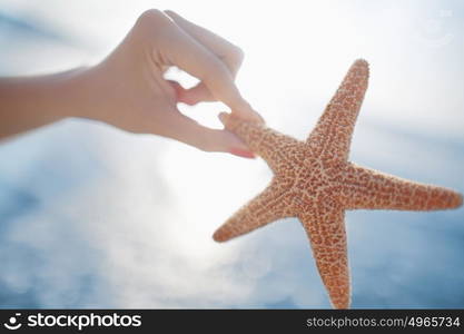 Woman holding starfish at the beach