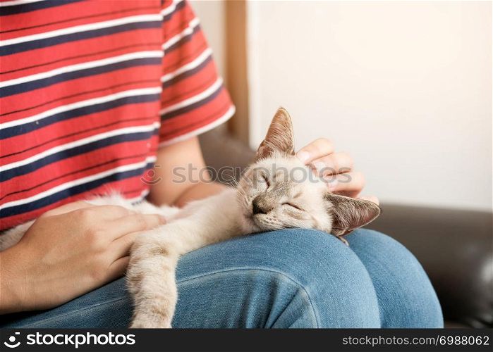 Woman hug Cute cat. Friendship Animal lover. trust love Friend of human