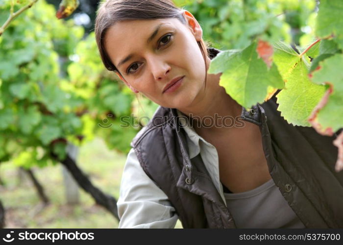 Woman in a vineyard