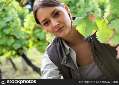Woman in a vineyard