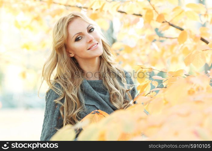 Woman in autumn park. Portrait of young woman in beautiful autumn park