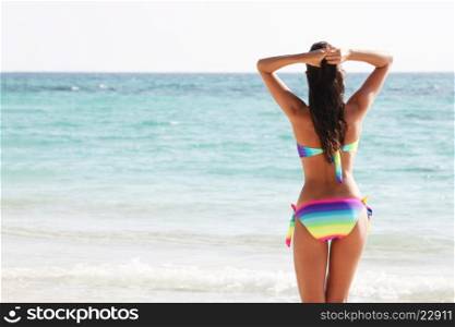 Woman in bikini at the sea beach, rear view