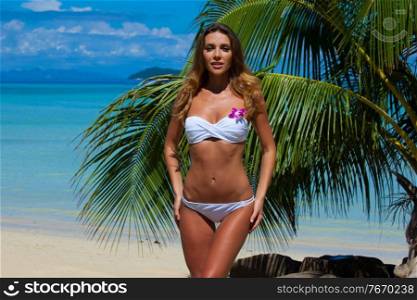 Woman in bikini on beach over palm tree and sea background in Thailand. Woman in bikini on beach