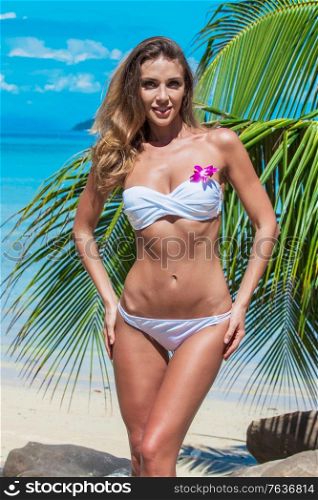 Woman in bikini on beach over palm tree leaf and sea background in Thailand. Woman in bikini on beach