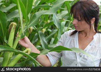 Woman in corn field