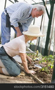 Woman in greenhouse planting seeds and man holding watering can smiling