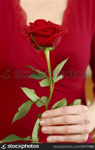 Woman in red holding a red rose