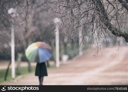 Woman in the rain at the park with a colorful umbrella
