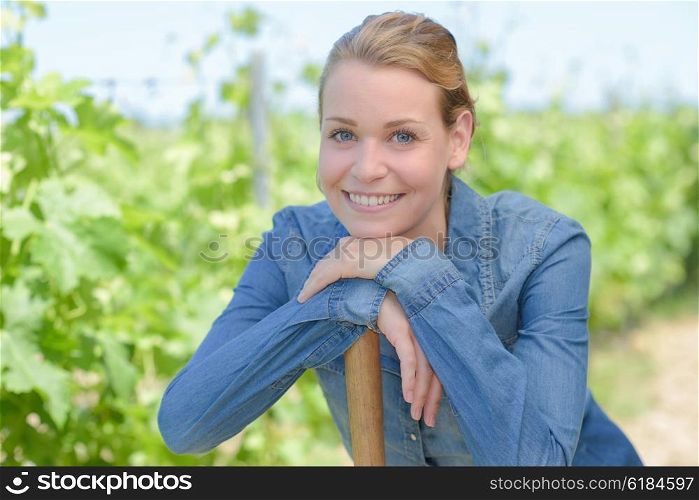 woman in the vine