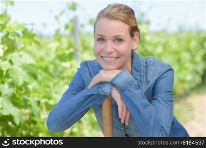 woman in the vine