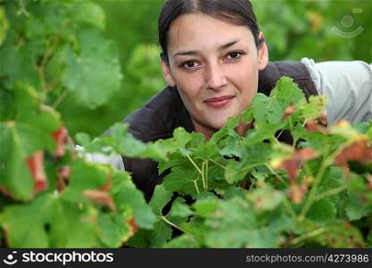 Woman in vineyards