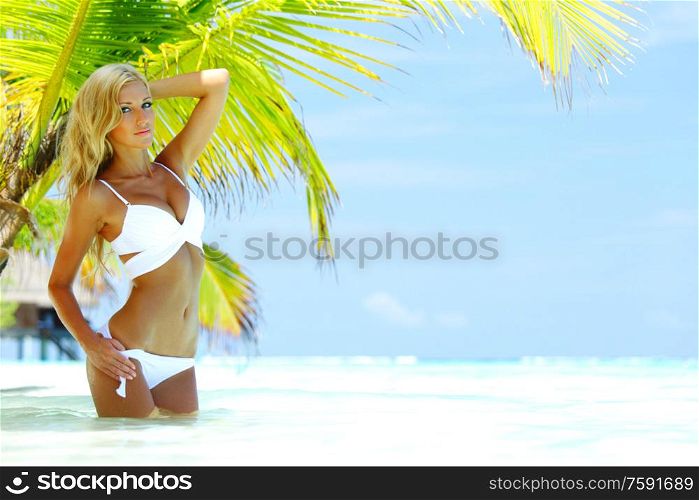 Woman in white bikini standing in water under palm tropical sea on backgroud. Woman under palm