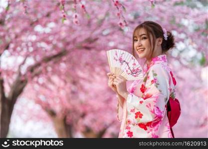 woman in yukata  kimono dress  holding folding fan and looking sakura flower or cherry blossom blooming in the garden