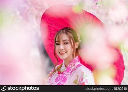 woman in yukata  kimono dress  holding umbrella and looking sakura flower or cherry blossom blooming in the garden