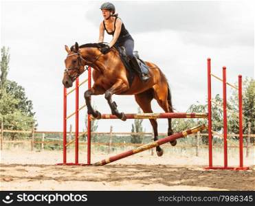 Woman jockey training riding horse. Sport activity. Active woman girl jockey training riding horse jumping over fence. Equestrian sport competition and activity.