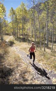 Woman Jogging Through Aspen Grove