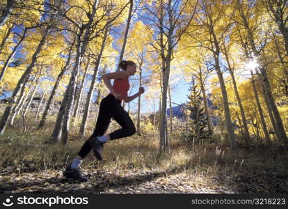 Woman Jogging Through Aspen Grove