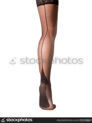 woman legs in stockings. Isolated on white.