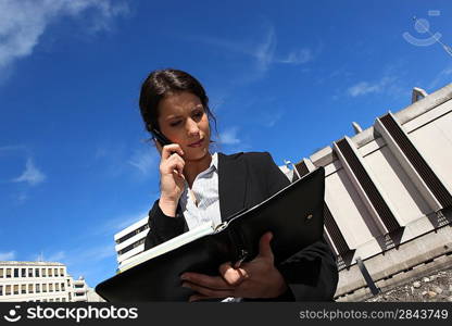 Woman looking in her personal organizer while making a phone call