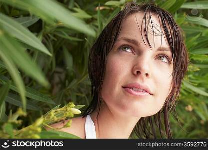Woman Looking Out From Shrub