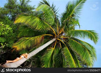 woman on palm sea on backgroud