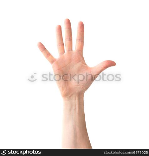 Woman open hand and five fingers isolated on white background