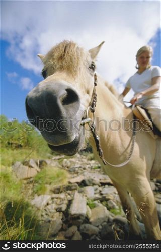 Woman outdoors riding horse in scenic location (fisheye)