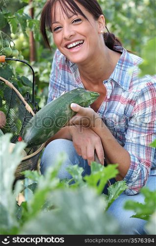 Woman picking a cucumber on her vegetable patch