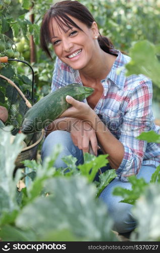 Woman picking cucumber