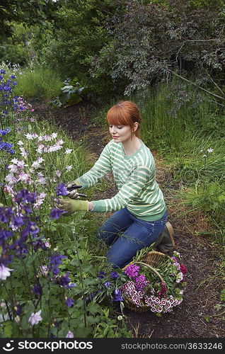 Woman picking flowers in garden