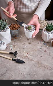 Woman planting Cactus Plant into White plastic Pot.. Woman planting Cactus Plant into White plastic Pot