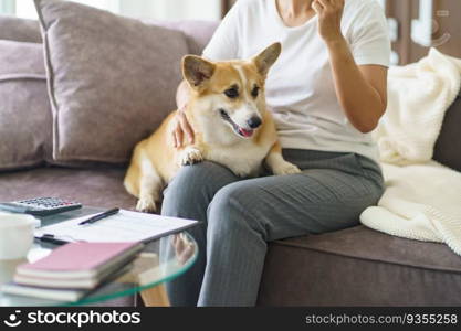 Woman playing with her dog at home lovely corgi on sofa in living room