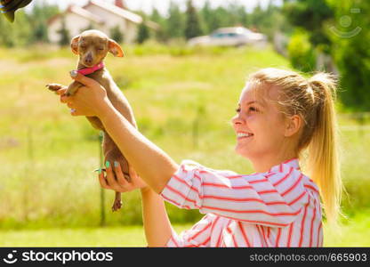 Woman playing with little pinscher ratter prazsky krysarik crossbreed hugging small dog outside on grass during summer spring weather. Woman playing with little dog outside