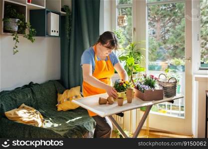 Woman potting indoor spring flowers. Urban hobby gardening. Biophilic lifestyle. Mental health and recreationg concept. Woman potting indoor spring flowers and plants