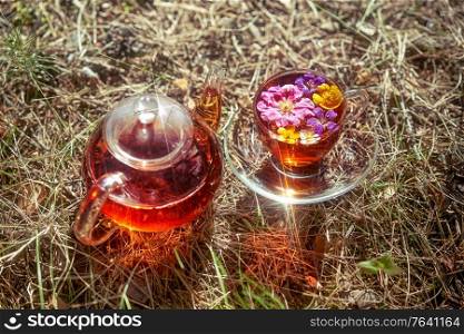 Woman pours tea from a glass teapot into a glass Cup. Tea party in the open air. Close-up of a Cup and teapot in nature in the forest