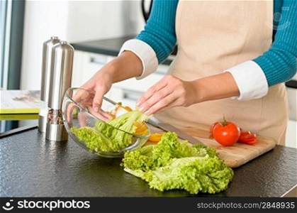 Woman preparing salad bowl vegetables kitchen cooking food hands