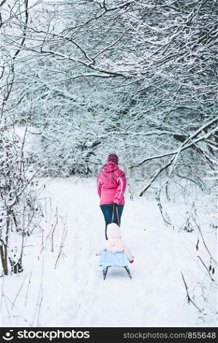 Woman pulling sledge with her little daughter during a walk in the forest