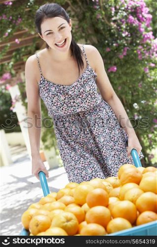 Woman Pushing Wheelbarrow Filled With Oranges
