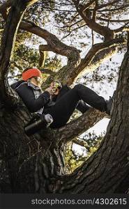 Woman relaxing and using mobile phone on treetop, Augsburg, Bavaria, Germany