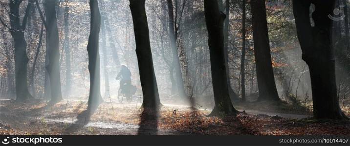 woman rides bicycle on track in winter forest against beautiful sunlight in misty conditions