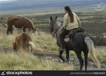 Woman riding a horse, Torres Del Paine National Park, Patagonia, Chile