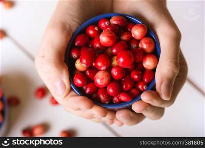 woman's hands holding a bowl of cranberries