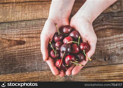 Woman's hands holding fresh cherries: top view