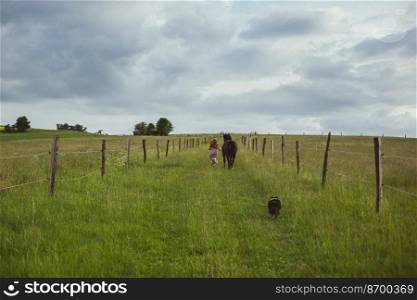 Woman running along beside horse scenic photography. Lovable animal. Picture of lady with green grassland on background. High quality wallpaper. Photo concept for ads, travel blog, magazine, article. Woman running along beside horse scenic photography