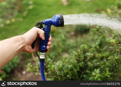 Woman’s hand with hose sprinkle watering plants in the garden.. Woman’s hand with hose sprinkle watering plants in the garden
