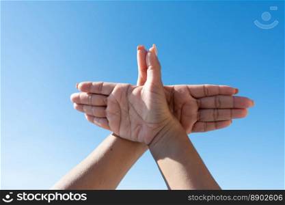 woman’s hands making dove sign with her hands against blue sky,. woman’s hands making dove sign with her hands against blue sky